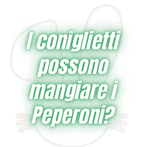 conigli nani peperoni alimentazione