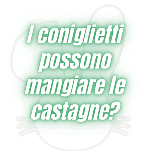 conigli possono mangiare castagne frutta secca