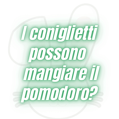 coniglietti possono mangiare pomodoro