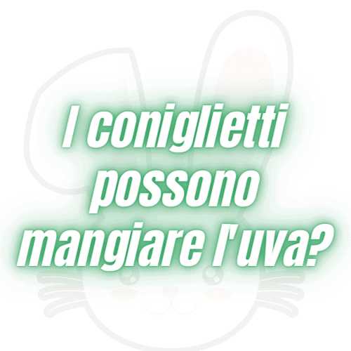 conigli possono mangiare uva?