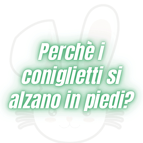 posizione omino conigli