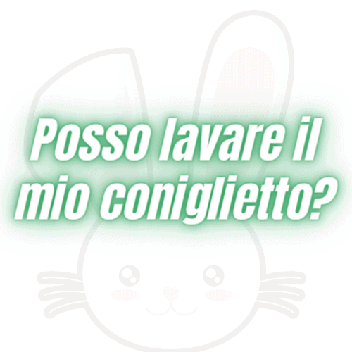 come si lava un coniglio