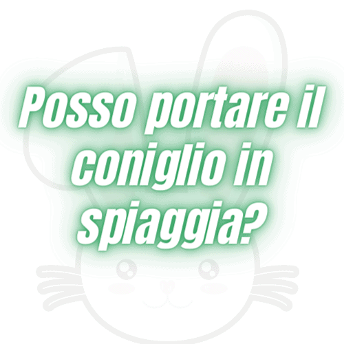 posso portare il coniglio in spiaggia?
