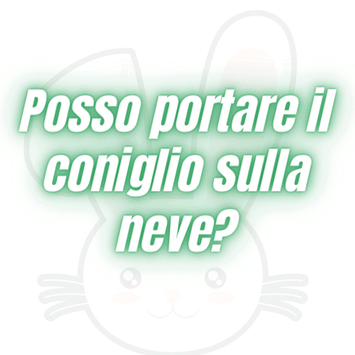 conigli sulla neve sì o no
