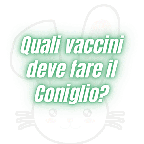 vaccini coniglio