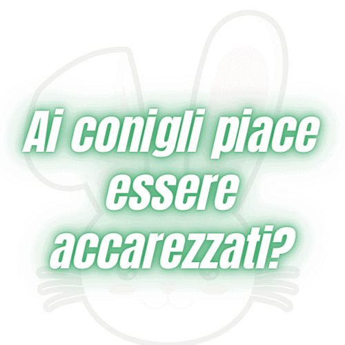 Ai conigli piace essere accarezzati?
