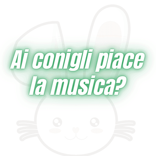 Ai conigli piace la musica?