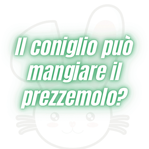 Il coniglio può mangiare il prezzemolo?