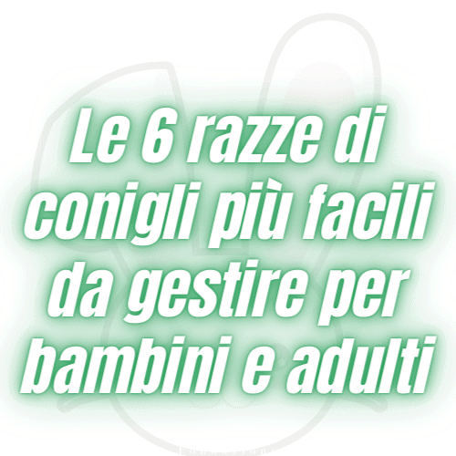 Le 6 razze di conigli più facili da gestire per bambini e adulti
