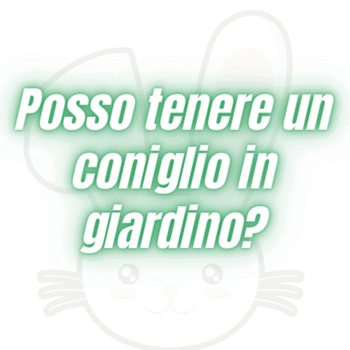 Posso tenere un coniglio in giardino?