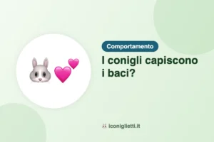 I conigli capiscono i baci: illustrazione riassuntiva di I Coniglietti