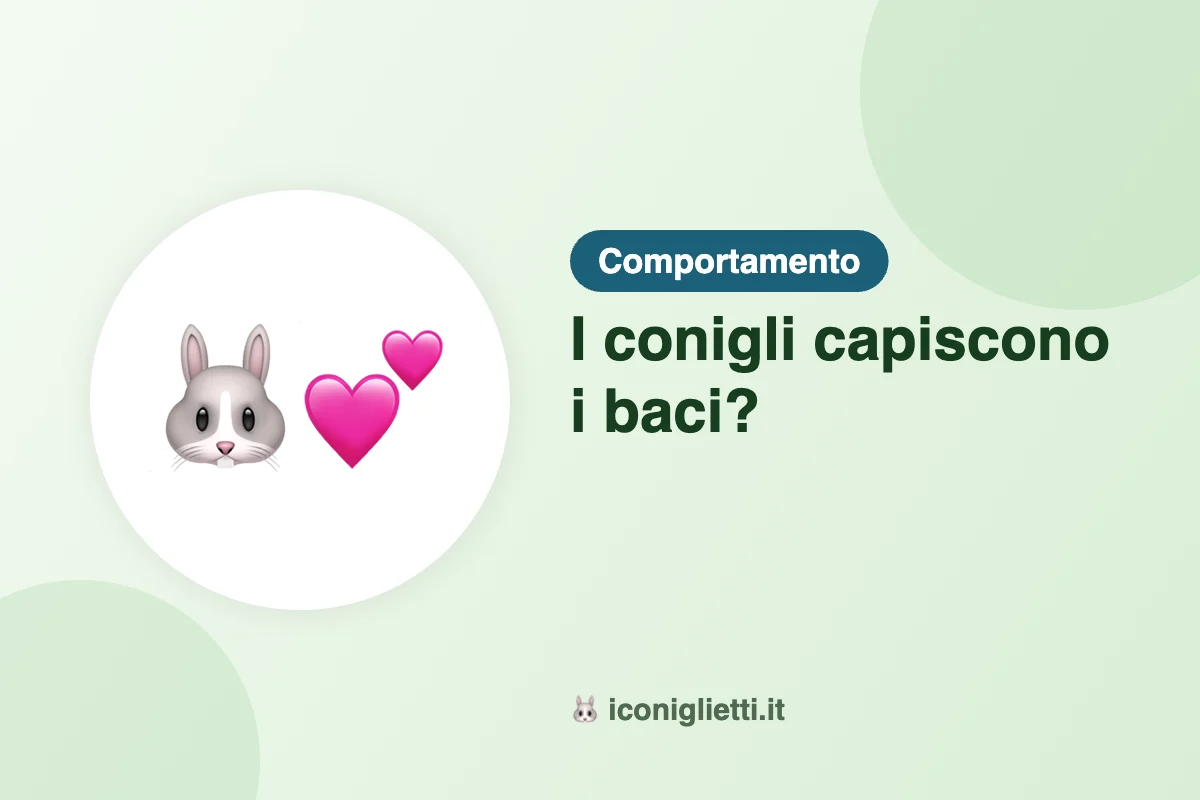 I conigli capiscono i baci: illustrazione riassuntiva di I Coniglietti