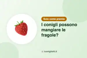 Fragole e coniglio: illustrazione con il riassunto, solo come premio