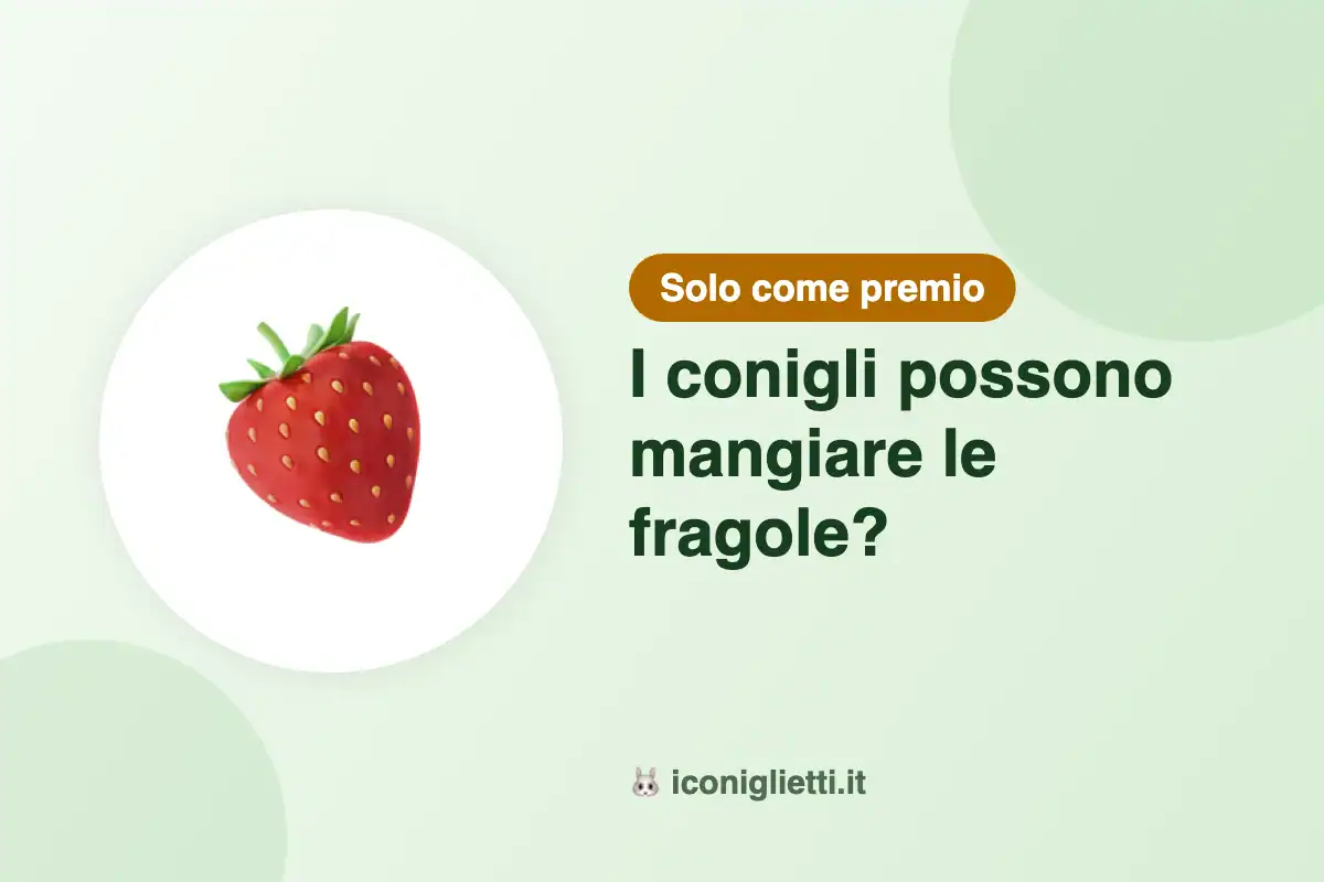Fragole e coniglio: illustrazione con il riassunto, solo come premio
