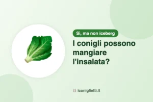 I conigli possono mangiare l'insalata: illustrazione riassuntiva di I Coniglietti