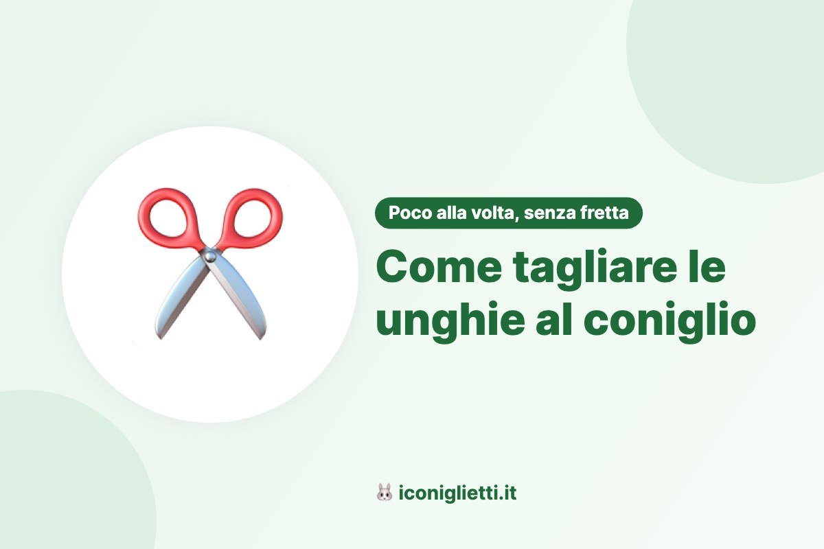 Come tagliare le unghie al coniglio: illustrazione riassuntiva di I Coniglietti