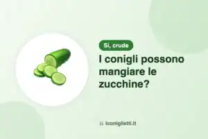 I conigli possono mangiare le zucchine: illustrazione riassuntiva di I Coniglietti