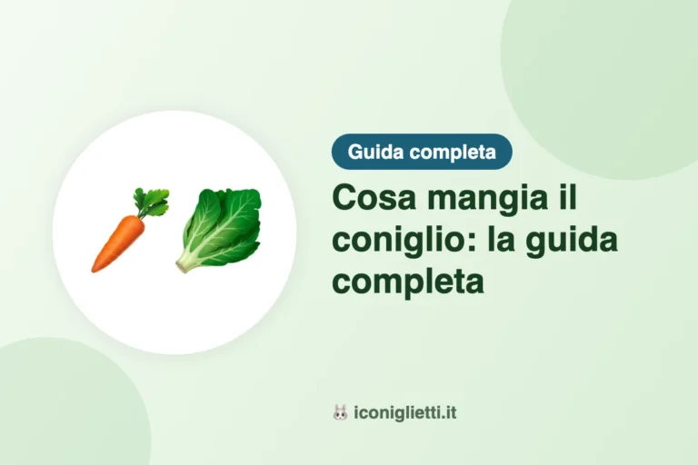 Cosa mangia il coniglio: la guida completa: illustrazione riassuntiva di I Coniglietti