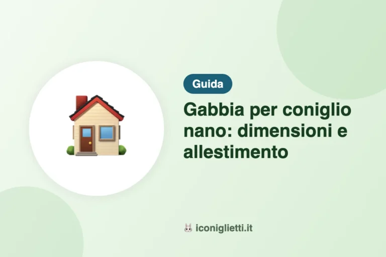 Gabbia per coniglio nano: dimensioni e allestimento