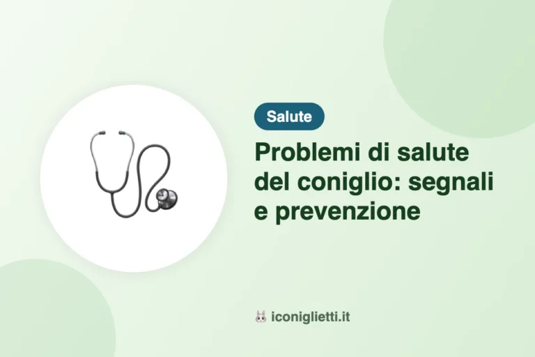 Problemi di salute del coniglio: segnali e prevenzione